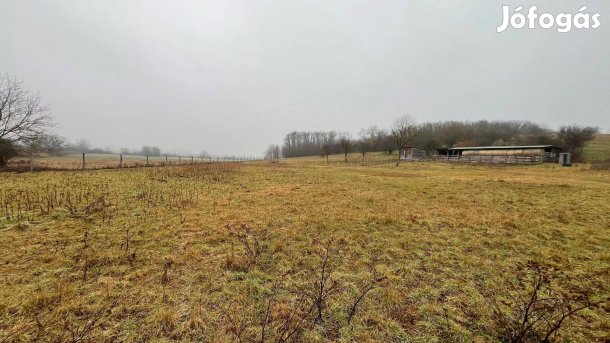 Legelő állattartásra eladó!
