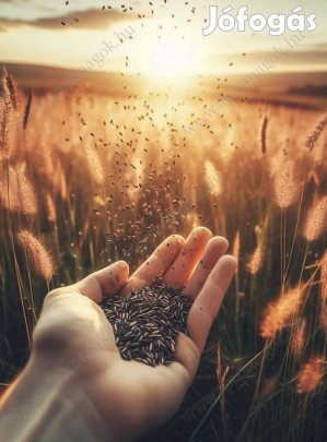 Legelő fűmagkeverék 5 összetevővel, fémzárolt, eladó akár postai száll