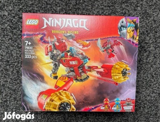 Lego 71830 Ninjago storm rider 