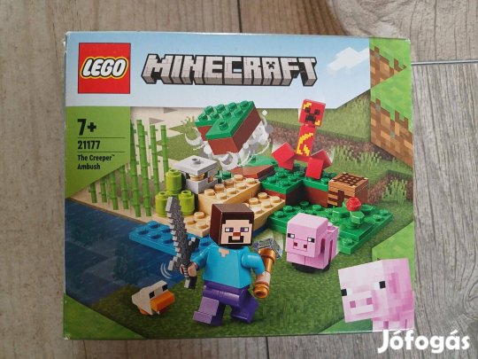 Lego Minecraft 21177, 21162