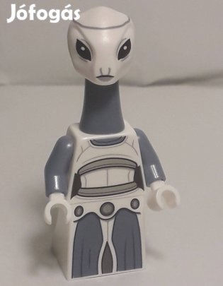 Lego Star Wars 75333 Taun We minifigura 2022