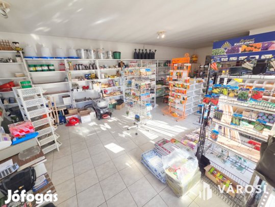 Lehetőségekben gazdag ház Ráckeve központjában