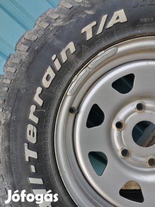 Lemezfelni téligumival