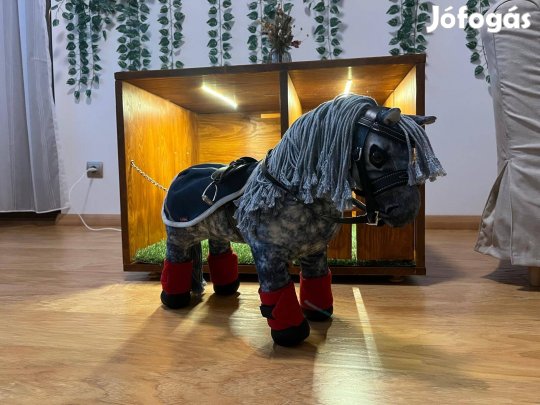 Lemieux póni, felszerelésekkel