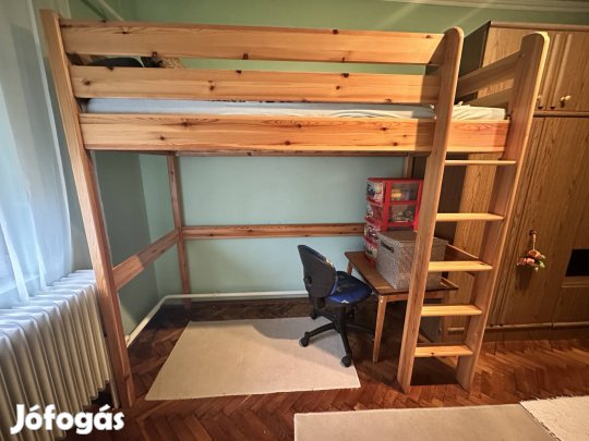 Leo fenyő galéria agy