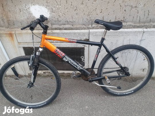 Leopard sprint kerékpár