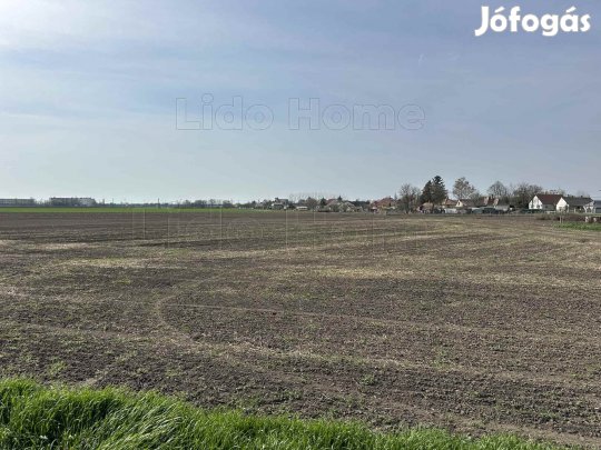 Lepsényben építési telek eladó!