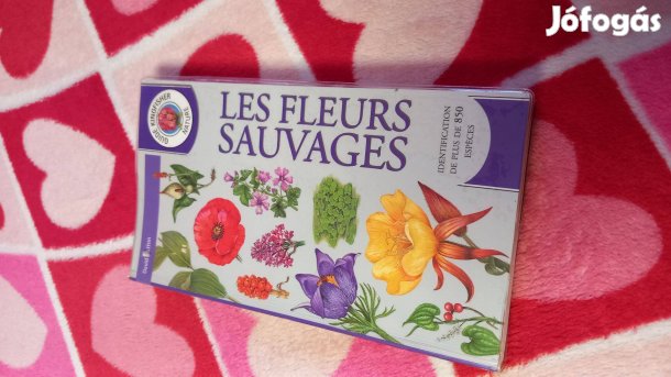 Les fleurs sauvages (vadvirag hatarozo), franciaul, uj