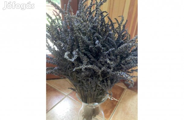 Levendula csokrok eladók