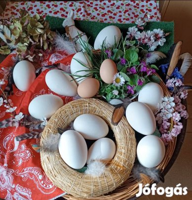 Liba tojás , Húsvét