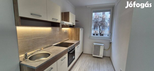 Libakertben 2 szobás felújított lakás eladó!