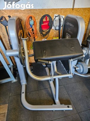 Life fitnes állítható szallagos bicepsz