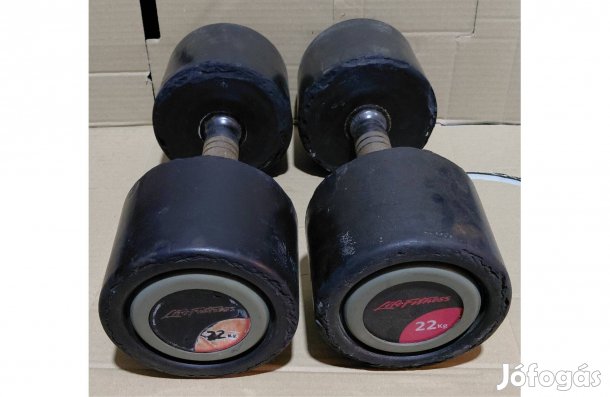 Lifefitness gumírozott egykezes súlyzó 18 kg és 22 kg