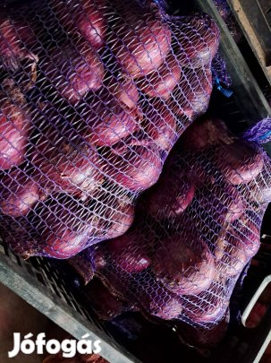 Lilahagyma nagyméretű