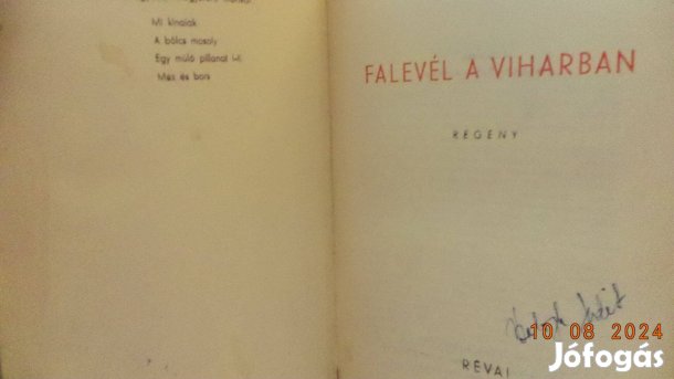 Lin Yutang: Falevél a viharban