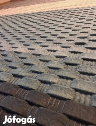 Linie Design gyapjúszőnyeg