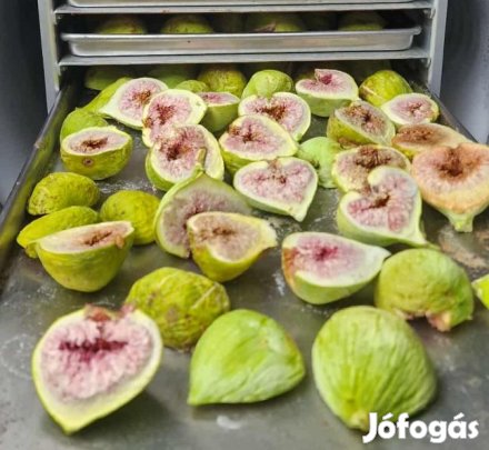 Liofilizált Fagyasztva Szárított Füge 50g  (6147)