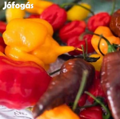 Liofilizált Fagyasztva szárított Chilli Mix 20g  (5007)