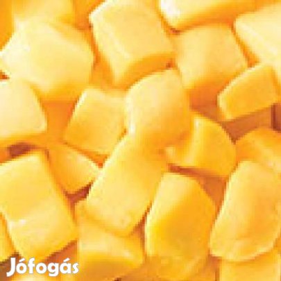 Liofilizált Fagyasztva szárított Mangó Kocka 50g  (4791)