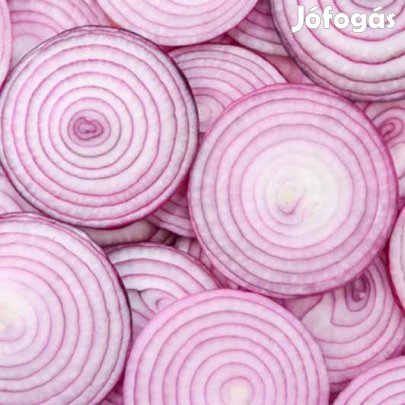 Liofilizált Lilahagyma Szeletek 50g  (B4611)