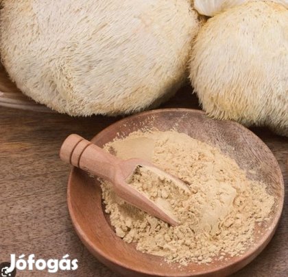 Liofilizált SünGomba (Hericium Erinaceus)  Por 100g