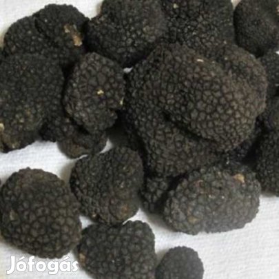 Liofilizált, Fagyasztva Szárított Fekete Szarvasgomba 10g (4724)