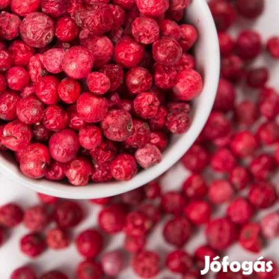 Liofilizált, Fagyasztva Szárított Ribizli 50g  (4632)
