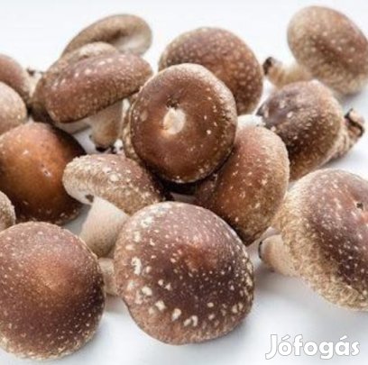 Liofilizált, Fagyasztva Szárított Shiitake gomba 50g (6317)