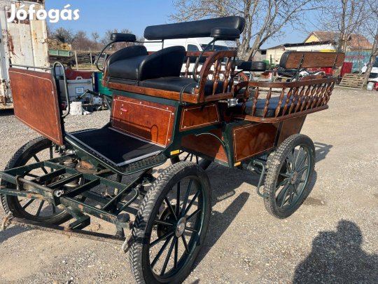 Lipicai - Friz Wagonette