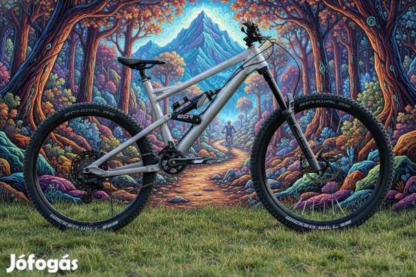 Liteville 601 29/27,5 superenduro mtb 180mm rugóút,váz:L (46cm)