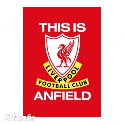 Liverpool takaró ANFIELD wellsoft piros 100*150