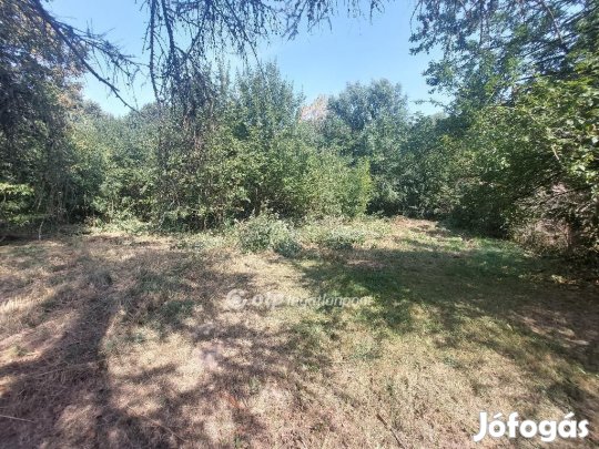 Lókúti 2727 nm-es telek eladó