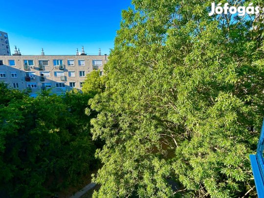 Lombkoronák szintjén Sárberekben - Tervezd meg Te álmaid otthonát