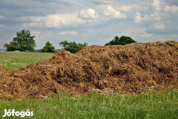 Lótrágya ingyen elvihető