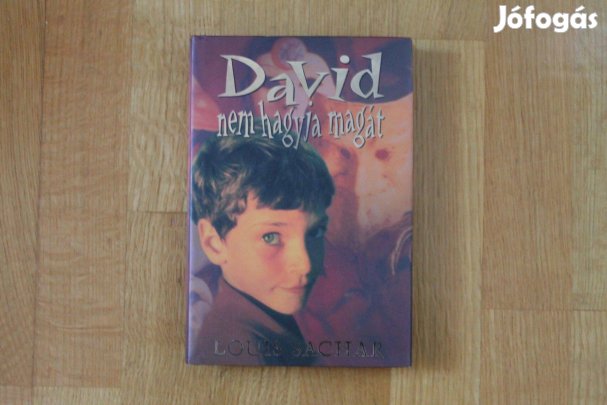 Louis Sachar - David nem hagyja magát