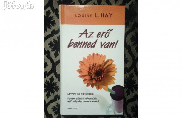 Louise L.Hay: Az erő benned van 2900,-Ft