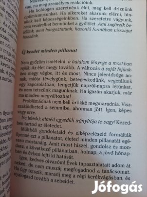 Louise L. Hay Éld az életed -Lehetőségeink korlátlanok