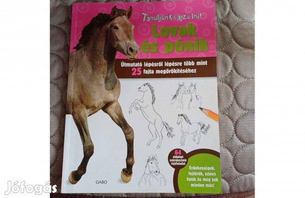 Lovak és pónik. Tanulj lovakat rajzolni!