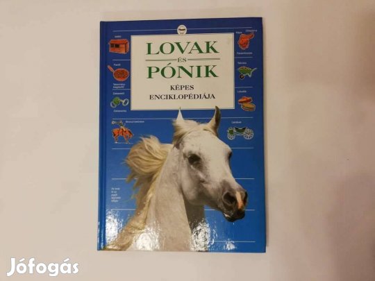 Lovak és pónik - Képes enciklopédiája