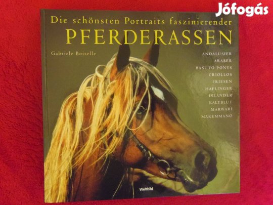 Lovas fotóalbum eladó