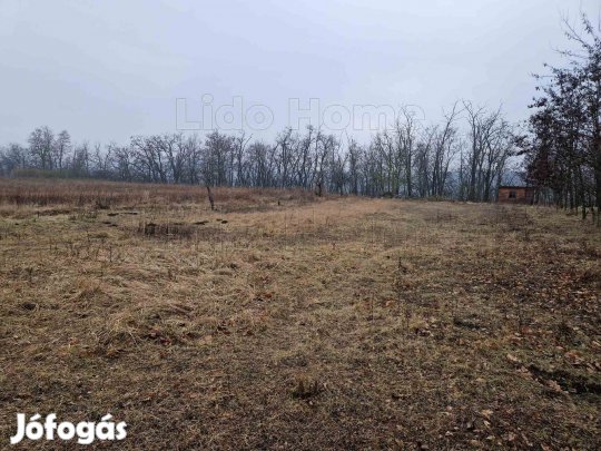 Lovasberényben zártkert eladó!