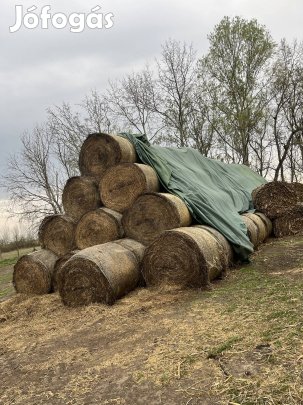 Lucerna Bála 150es 100db eladó 