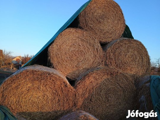 Lucerna , széna eladó