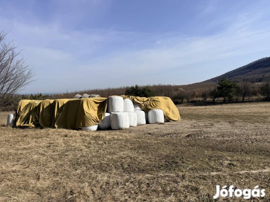 Lucerna szenázs eladó