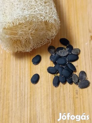 Luffa szivacstök mag