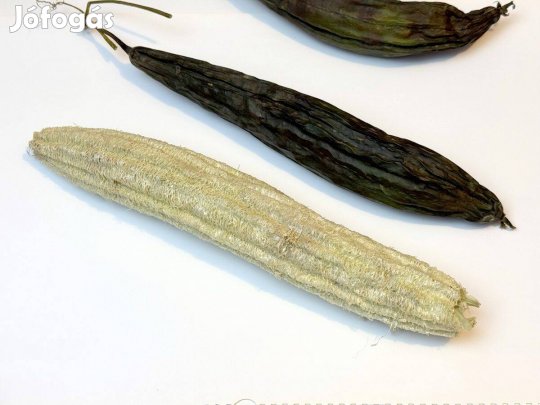 Luffatök szivacstök 20 db mag - luffa szivacs tök mag