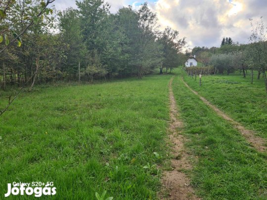 Lukácsháza Csömötei hegyen panorámás telek
