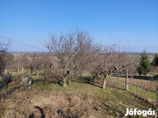 Lukácsháza - Nagycsömötei hegyen kert eladó