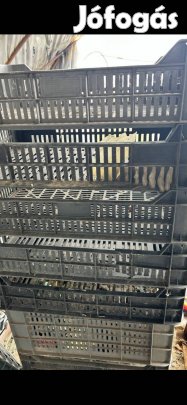 M10 műanyeg rekesz zöldséges 