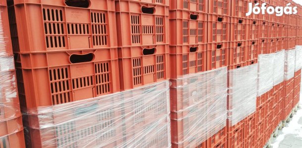 M20 új műanyag rekesz zöldséges gyümölcsös láda Kecskeméten eladó
